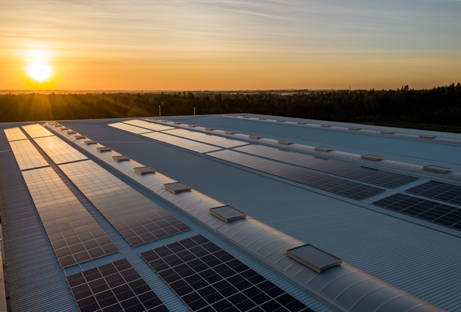 Toiture industrielle équipée de panneaux photovoltaïques au coucher du soleil